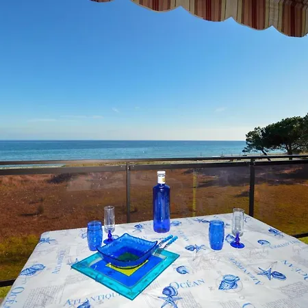 Stunning In W/ Outdoor Swimming Pool And Outdoor Swimming Pool
